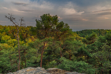 Kokorinsko area with deep forests and rocks in summer hot morning