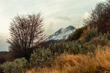 Andes mountain range with its forest in autumn. Ushuaia, Argentina