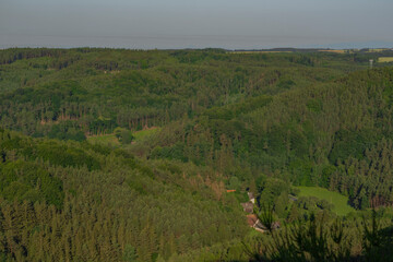 Kokorinsko area with deep forests and rocks in summer hot day