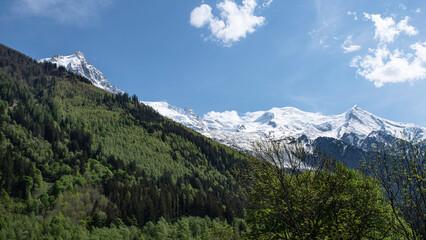 Mountain landscape with forest and Mont Blanc behind