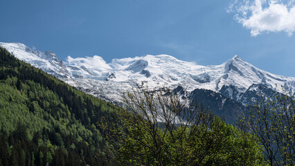 Mountain landscape with forest and Mont Blanc behind