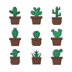 cactuses