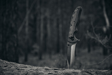 Tactical knife for survival and protection difficult conditions stuck into trunk tree in forest.Black and white. - obrazy, fototapety, plakaty