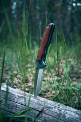 Tactical knife for survival and protection difficult conditions stuck into trunk tree in forest.