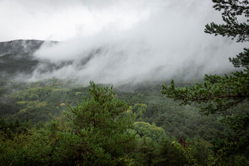 a misty landscape on a forest next to Gavín, municipality of Biescas (Alto Gállego), province of Huesca, Aragon, Spain