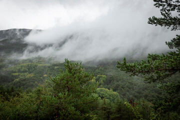 Fototapeta premium a misty landscape on a forest next to Gavín, municipality of Biescas (Alto Gállego), province of Huesca, Aragon, Spain