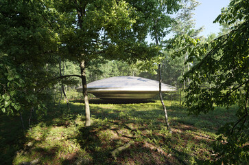 UFO flying saucer spaceship in the forest, an alein invasion on planet earth © Michael