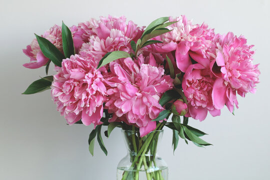 bouquet of pink peonies in close-up.