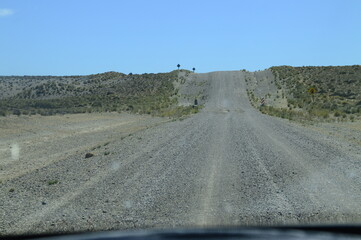 buscando gente, animales en la ruta desertica