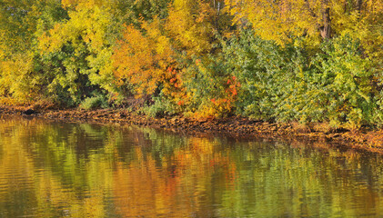 Fototapeta premium autumn trees and reflection in river