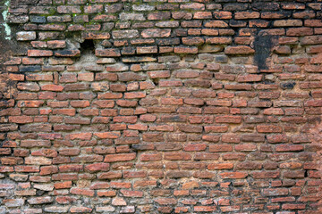 Beautiful old grounge brick wall texture or background
