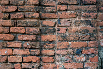 Beautiful old grounge brick wall texture or background
