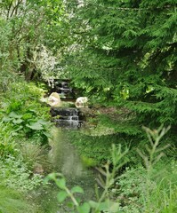 Wasserfall im Botanischen Garten