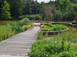 Holzsteg im Botanischen Garten
