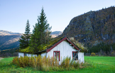 Overgrown House with a Small Forest on Its Roof, in Hemsedal, Norway