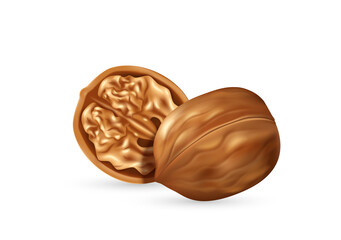 Walnut kernel in open shell realistic icon. Tasty fresh nut for nutrition, branding