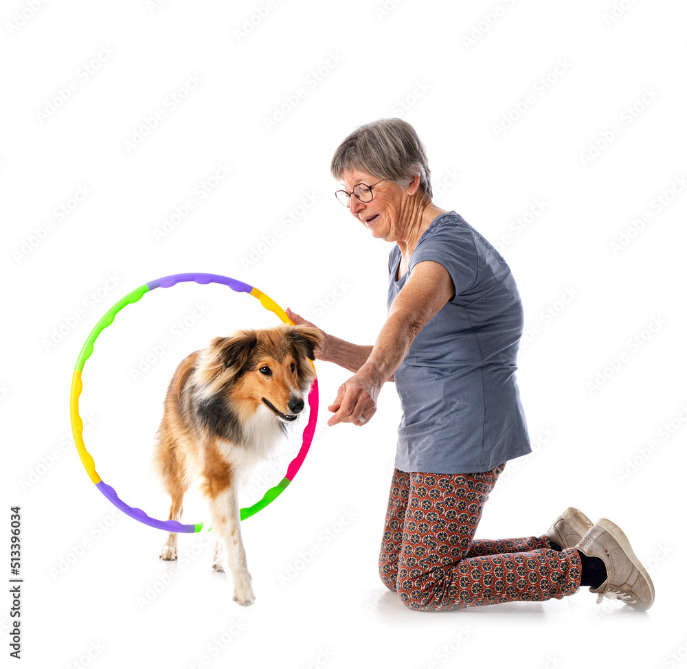 Poster shetland sheepdog and woman