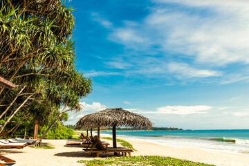 Tropical resort view, sunbeds on sea beach, Sri Lanka