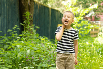 A little boy stands in a dense thicket of grass. Mosquitoes bite him