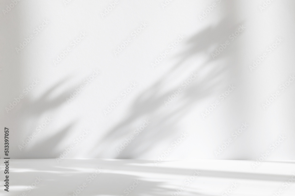 Poster Abstract white studio background for product presentation. Empty room with shadows of window and flowers and palm leaves . 3d room with copy space. Summer concert. Blurred backdrop.