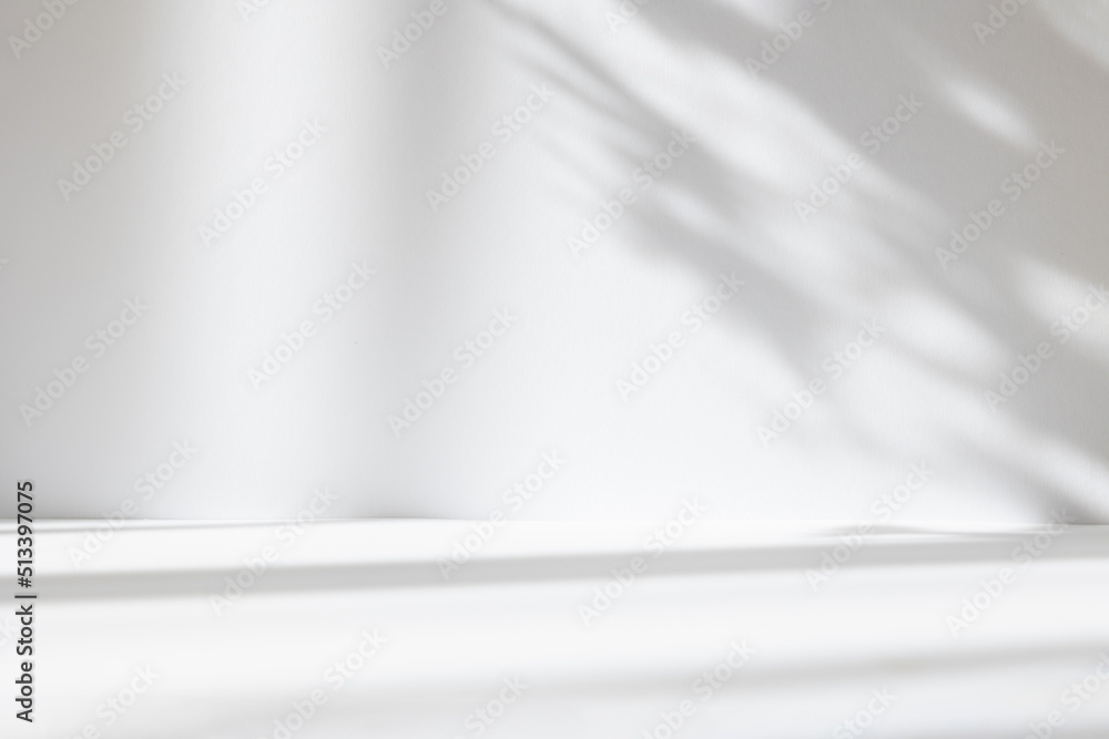 Poster Abstract white studio background for product presentation. Empty room with shadows of window and flowers and palm leaves . 3d room with copy space. Summer concert. Blurred backdrop.