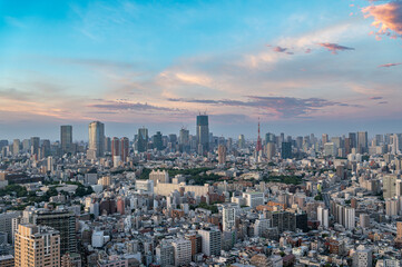 Fototapeta na wymiar 東京都渋谷区恵比寿の高層ビルから見た東京の都市景観