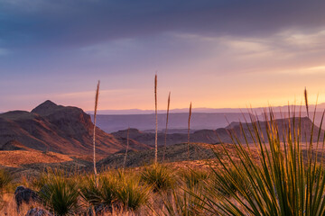 Big Bend National Park sunset