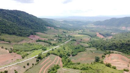 Fototapeta na wymiar view of vineyards in the morning