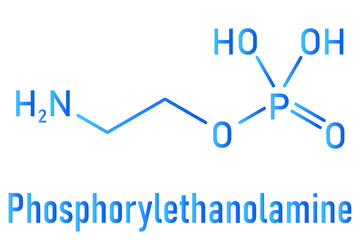 Phosphorylethanolamine or phosphoethanolamine investigational cancer drug molecule. Skeletal formula.