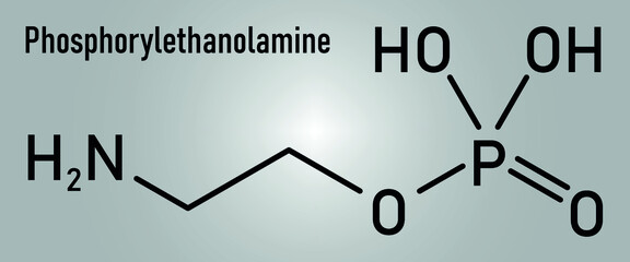 Phosphorylethanolamine or phosphoethanolamine investigational cancer drug molecule. Skeletal formula.
