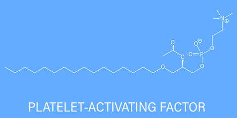 Platelet Activating Factor or PAF signaling molecule. Skeletal formula. - obrazy, fototapety, plakaty