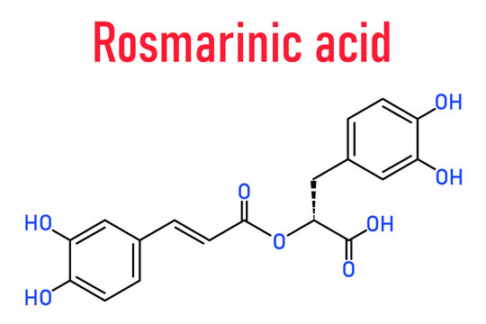 Rosmarinic acid herbal antioxidant molecule. Present in a number of plants including rosemary. Rosmarinus officinalis. Skeletal formula.