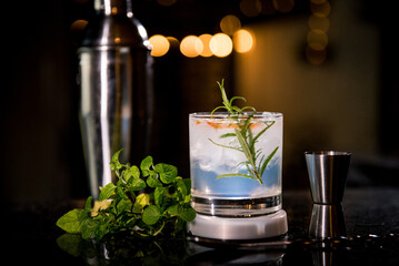 bartender preparing Gin Tonic drink with cherry and ice
