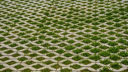 Mesh ecological coating for parking cars made of concrete blocks with the inclusion of green lawn...