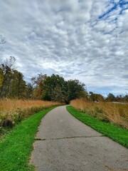 Cloudy Day Over Autumn Park Path