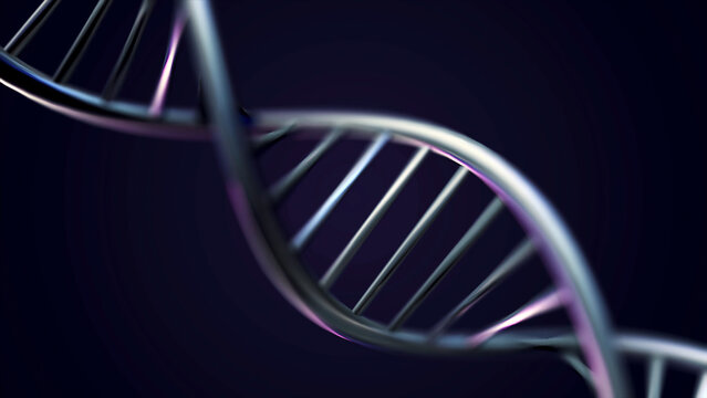 Heredity Genetic Code
