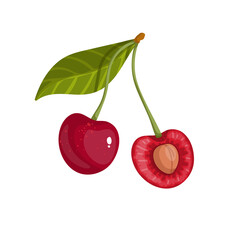 Ripe summer cherry. Cartoon vector graphics.