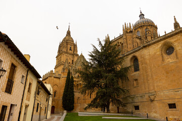 Impressive view of ancient Cathedral of Salamanca at Castile and Leon region, Spain
