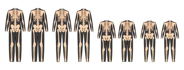 Set of Skeleton costume Human bones for whole family front back view men women children - boy, girl for Halloween for printing on clothes flat natural color concept Vector illustration isolated