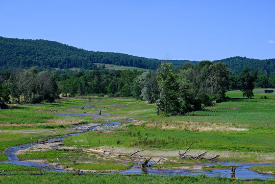 In progress, streambank and floodplain restoration on a small stream. It includes stabilizing and or altering the stream channel to slow and direct the flow of water to reduce erosion and flooding.