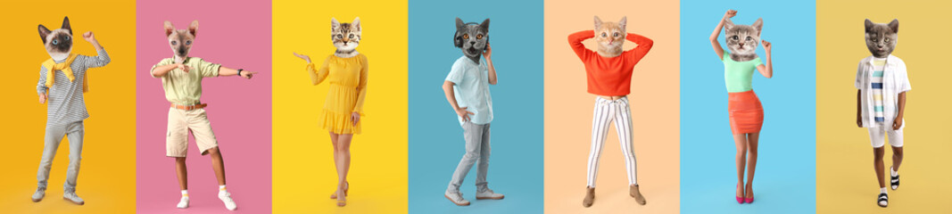 Set of funny cats with human bodies on colorful background - obrazy, fototapety, plakaty