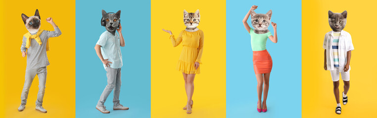 Set of funny cats with human bodies on colorful background