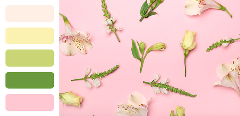 Many beautiful flowers on pink background. Different color patterns
