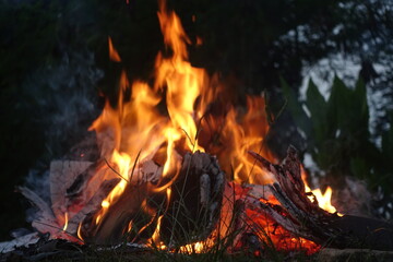 smoldering fire from burning trash