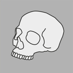 human skull vector illustration - obrazy, fototapety, plakaty