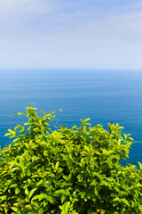 Fototapeta na wymiar 都井岬灯台から見る若葉と太平洋 