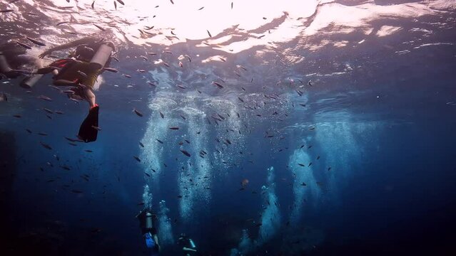 Under water film - Several scuba divers right under blue ocean water with visible coral floor-  Sail Rock Island in Thailand