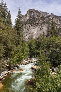 Rushing Waters - Kings Canyon Park, California