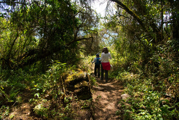 Fototapeta premium Fotografías del Camino inca en Machupicchu, Perú.
