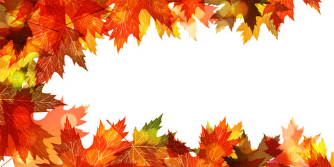 Fototapeta premium 紅葉 もみじ 秋 背景